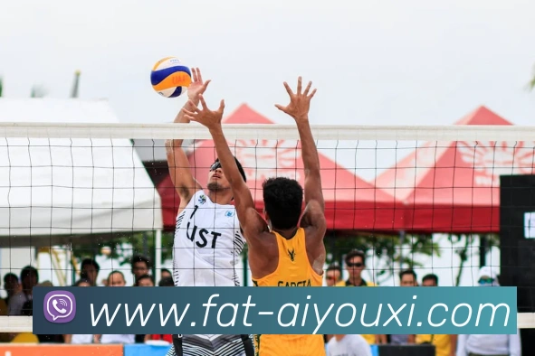 爱游戏APP 封面图